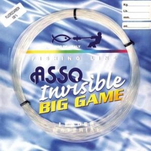 Invisible Big Game
