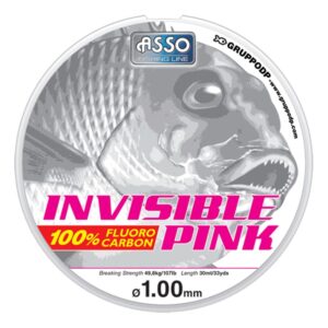 Invisible Pink