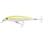 X-Rap Saltwater 12