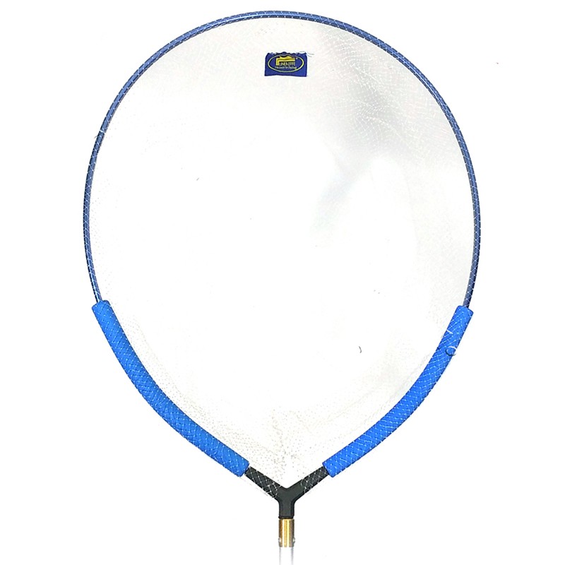 Testata Tonda Testata Tonda