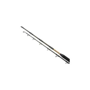 SHIMANO BEASTMASTER AX TROLLING