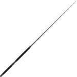 DAIWA SEALINE BT