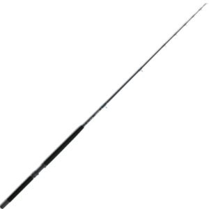 DAIWA SEALINE BT