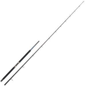 ITALCANNA BALTIMORA 4 MT. 3,22 2/12LB-