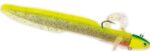 Savannah Eel