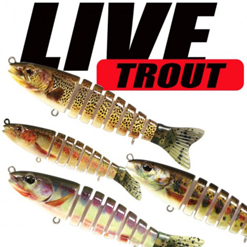Live Trout Live Trout