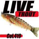 Live Trout