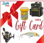 Carta Regalo € 100