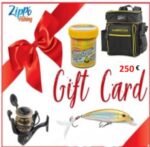 Carta Regalo € 250