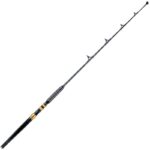 KRISTALFISHING CANNA Amberjack