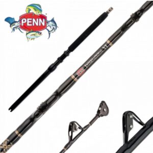PENN INTERNATIONAL V 20/30 IGFA CLASS