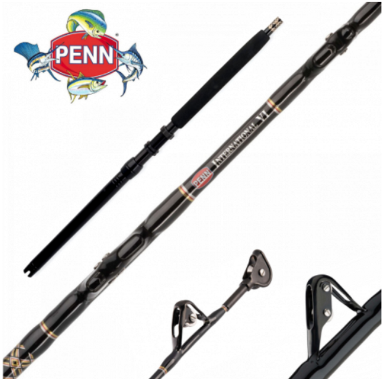 PENN INTERNATIONAL V 20/30 IGFA CLASS PENN INTERNATIONAL V 20/30 IGFA CLASS