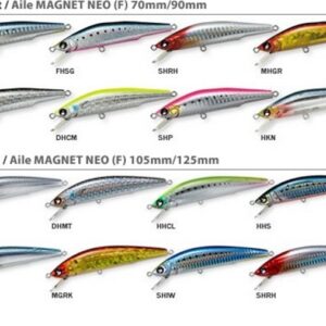 DUEL AILE MAGNET NEO