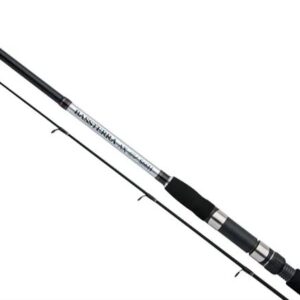 SHIMANO BASSTERRA AX EV S60MH