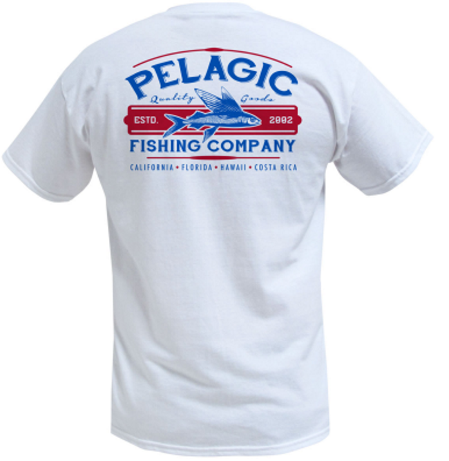 PELAGIC FLYNG FISH PELAGIC FLYNG FISH