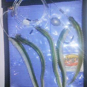4 HOGI LURES MONTATI SU CAVETTO 150LB + 1 ARMATO AMO WMC 8/0