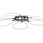 KANI LARIAT (TRAPPOLA PER GRANCHI BLU) DAIWA