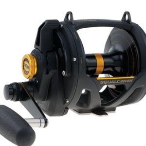 PENN SQUALL VSW 2 SPEED