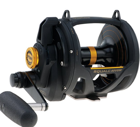 PENN SQUALL VSW 2 SPEED PENN SQUALL VSW 2 SPEED