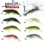 MOLIX SHRIMP