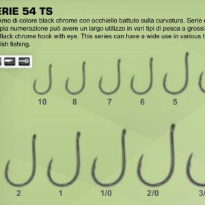AMI TUBERTINI 54 TS
