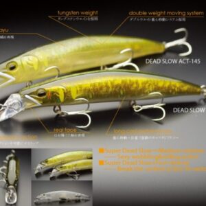 LITTLE JACK DEAD SLOW ACT 28GR