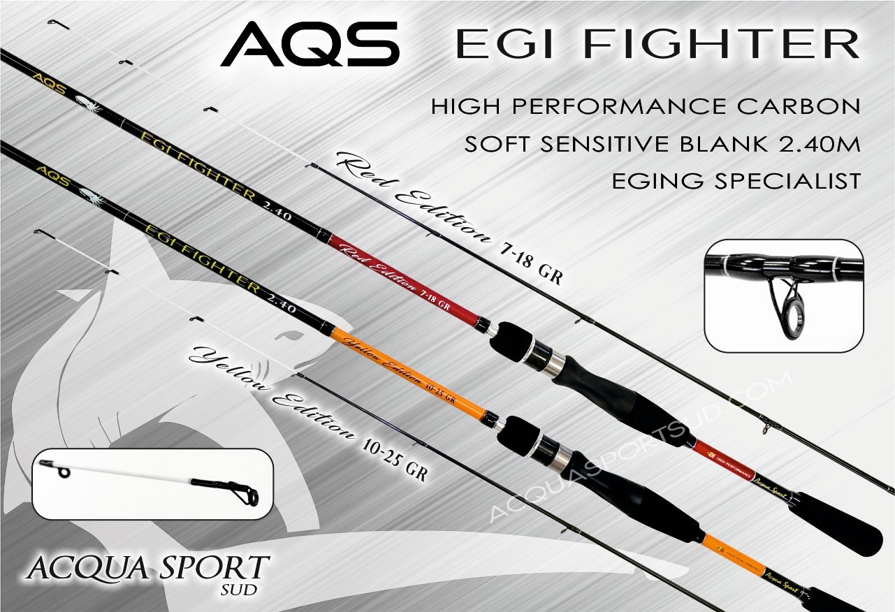 AQS EGI FIGHTER AQS EGI FIGHTER