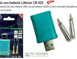 LITHIUM BATTERY USB CHARGER