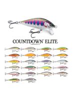 COUNTDOWN ELITE 55 GR.5
