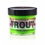 DYNAMITE BAIT TROUT PASTE MUSSEL/SNAIL