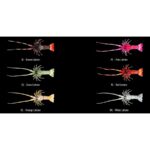 THE LOBSTER FISHUS LURES L'ARAGOSTA
