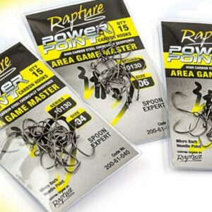 RAPTURE POWER POINT CON ARDIGLIONE