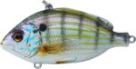 LIVETARGET PINFISH RATTLIN