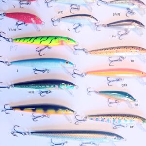 RAPALA ORIGINAL FLOATING 2