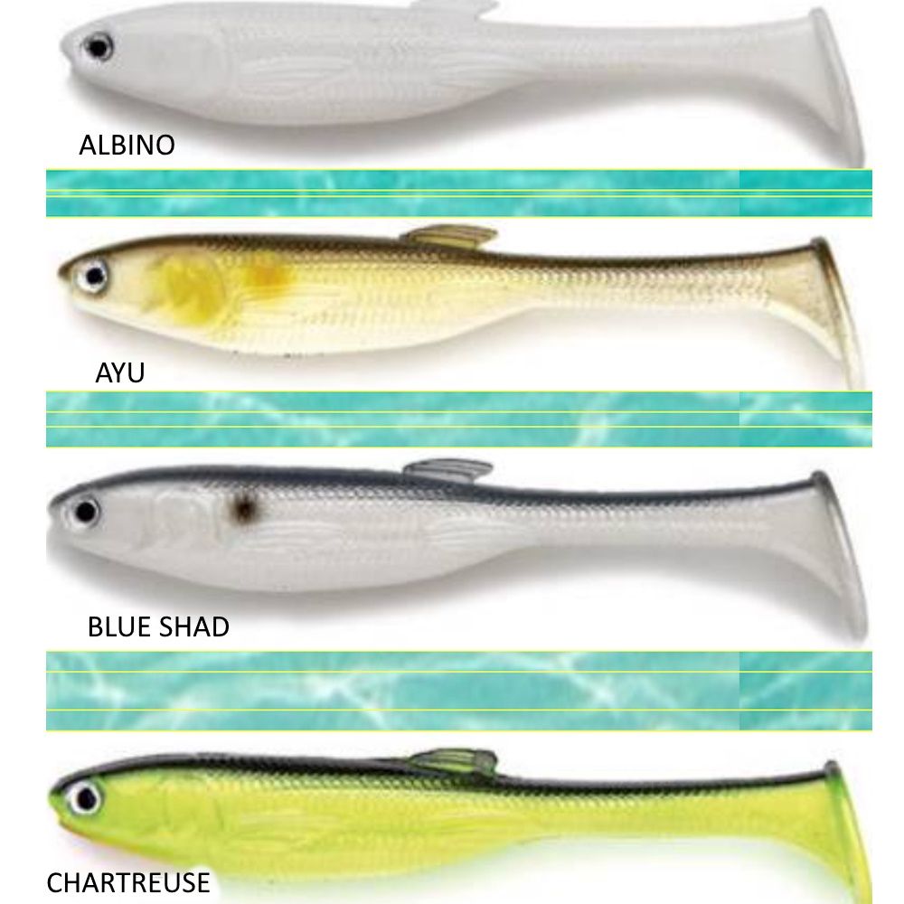 CASTAIC JERKY J SWIM 5" CF.5PZ CASTAIC JERKY J SWIM 5" CF.5PZ