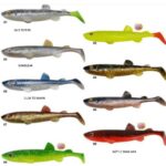 SMELT SHAD QUANTUM SPECIALIST