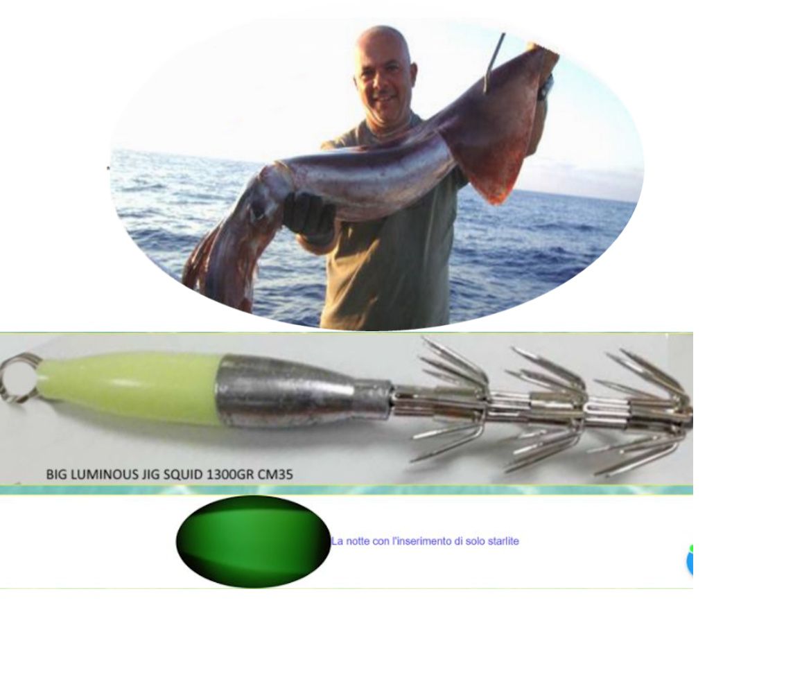TOTANARA FLUO DI PROFONDITA' JIG SQUID 35CM 1300GR TOTANARA FLUO DI PROFONDITA' JIG SQUID 35CM 1300GR