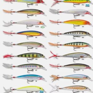 RAPALA X-RAP XR 10