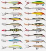RAPALA X-RAP XR 8