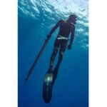 SIGAL PINNE TSUNAMI CARBON