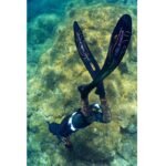 SIGAL PINNE TSUNAMI CARBON