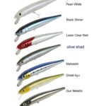 DAIWA SEA BASS HUNTER