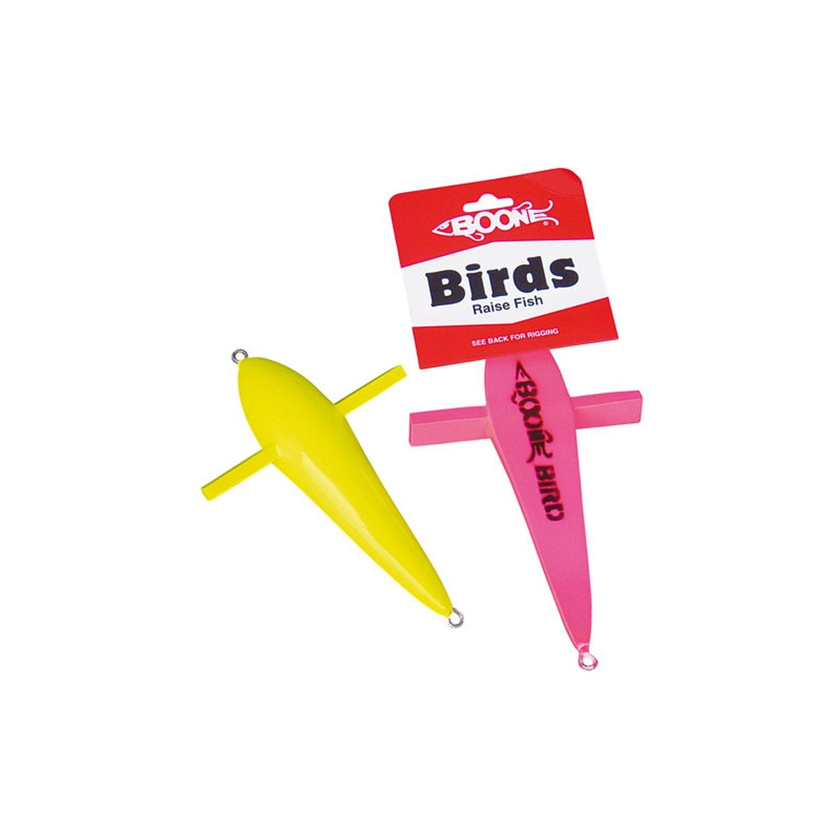 BOONE TEASER BIRD RAISE BOONE TEASER BIRD RAISE