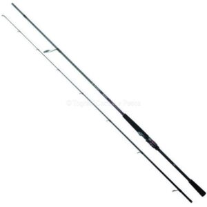 Daiwa Canna freams Evolution Regular 612LFS-AI