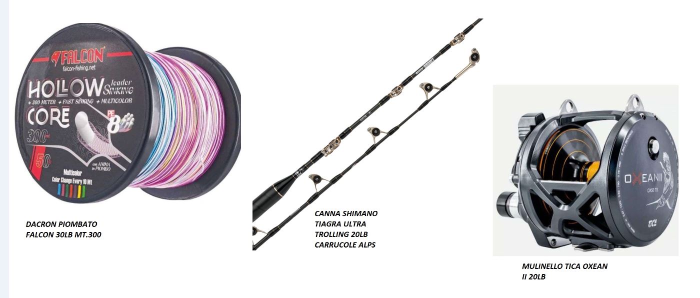 Cattura COMBO TRAINA CON DACRON PIOMBATO - immagine 1