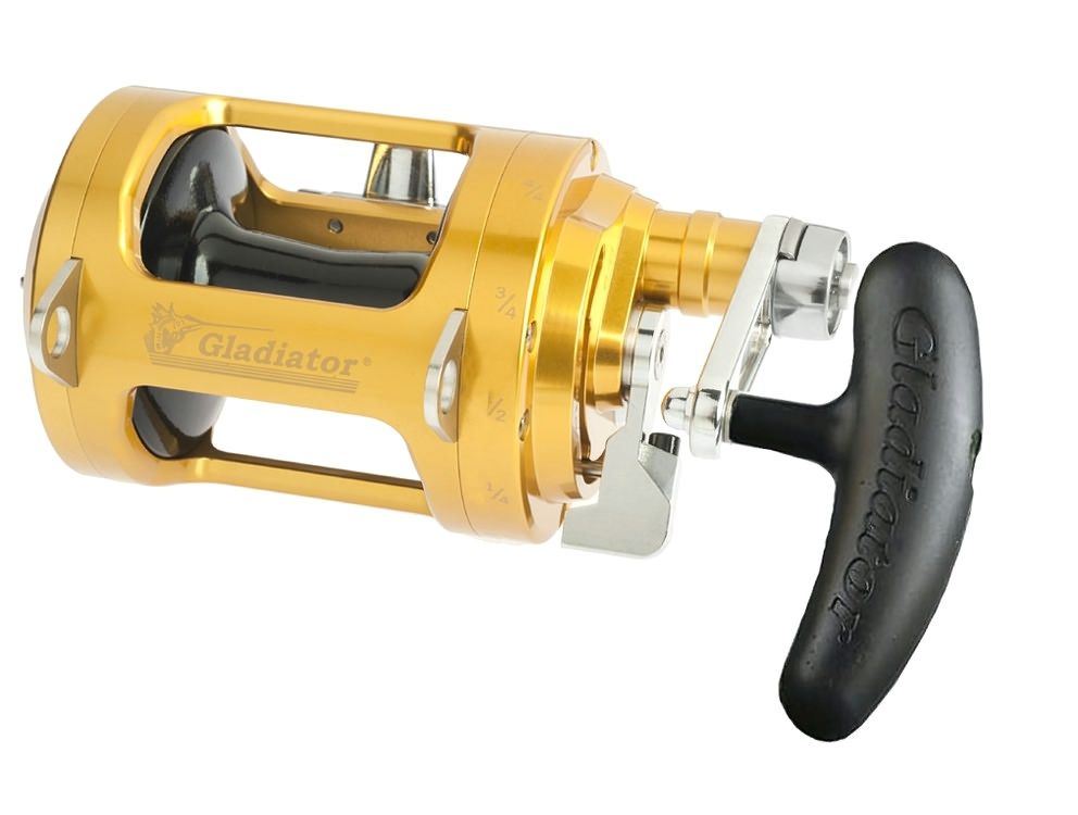 GLADIATOR MONEL 2 SPEED GLADIATOR MONEL 2 VELOCITA' - immagine 1
