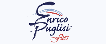 ENRICO PUGLISI